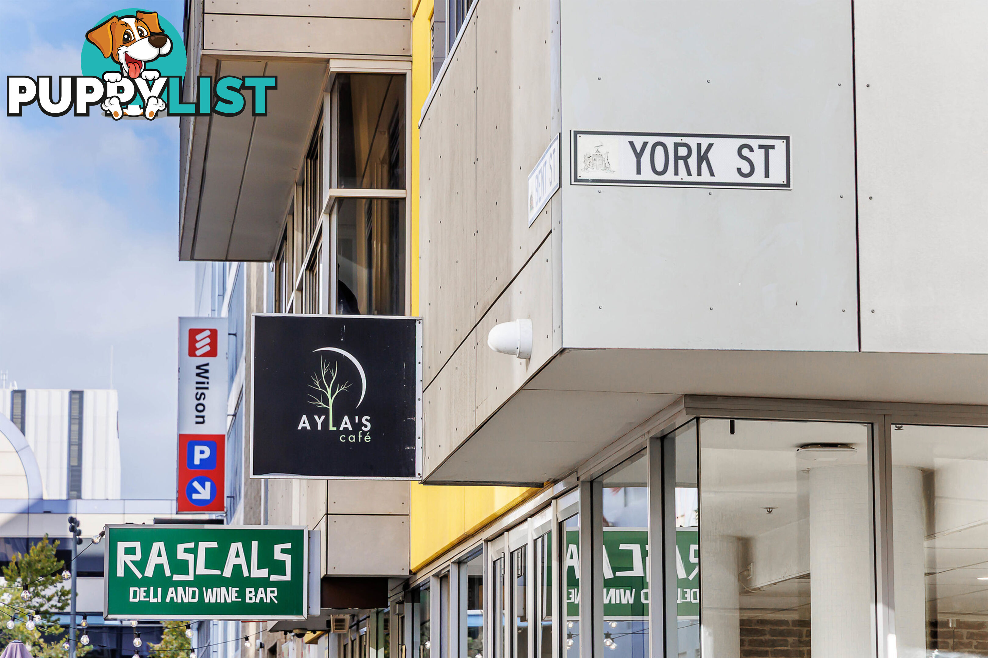 50/45 York Street ADELAIDE SA 5000