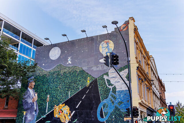 50/45 York Street ADELAIDE SA 5000