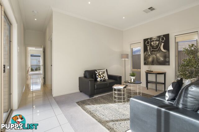 42 Swan Street GRANGE SA 5022