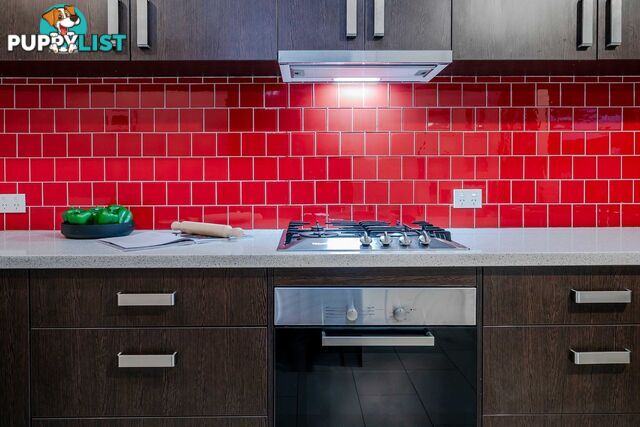 2 Tarragon Street MILE END SA 5031