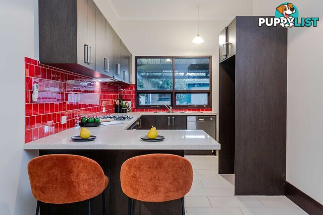 2 Tarragon Street MILE END SA 5031