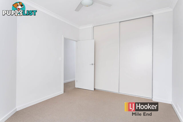 43 Banksia Street WEST LAKES SA 5021