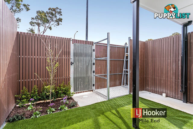43 Banksia Street WEST LAKES SA 5021