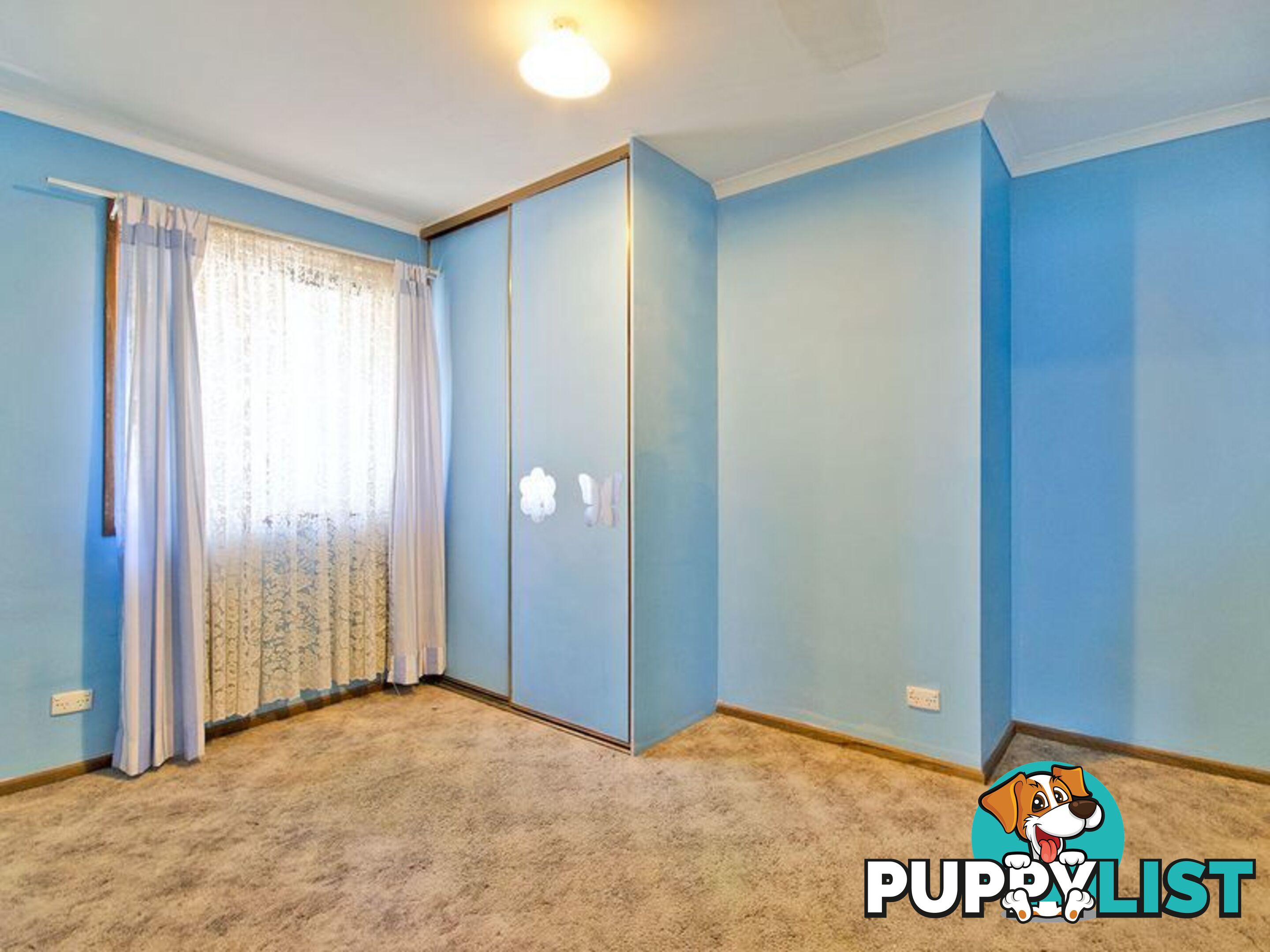 79 Balcombe Avenue SEATON SA 5023