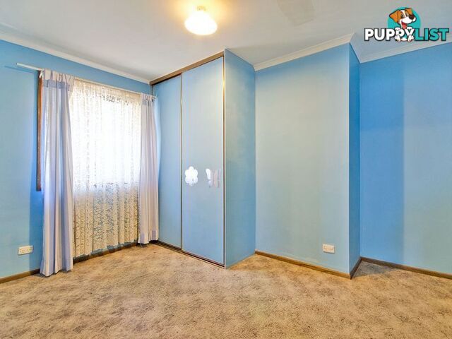 79 Balcombe Avenue SEATON SA 5023