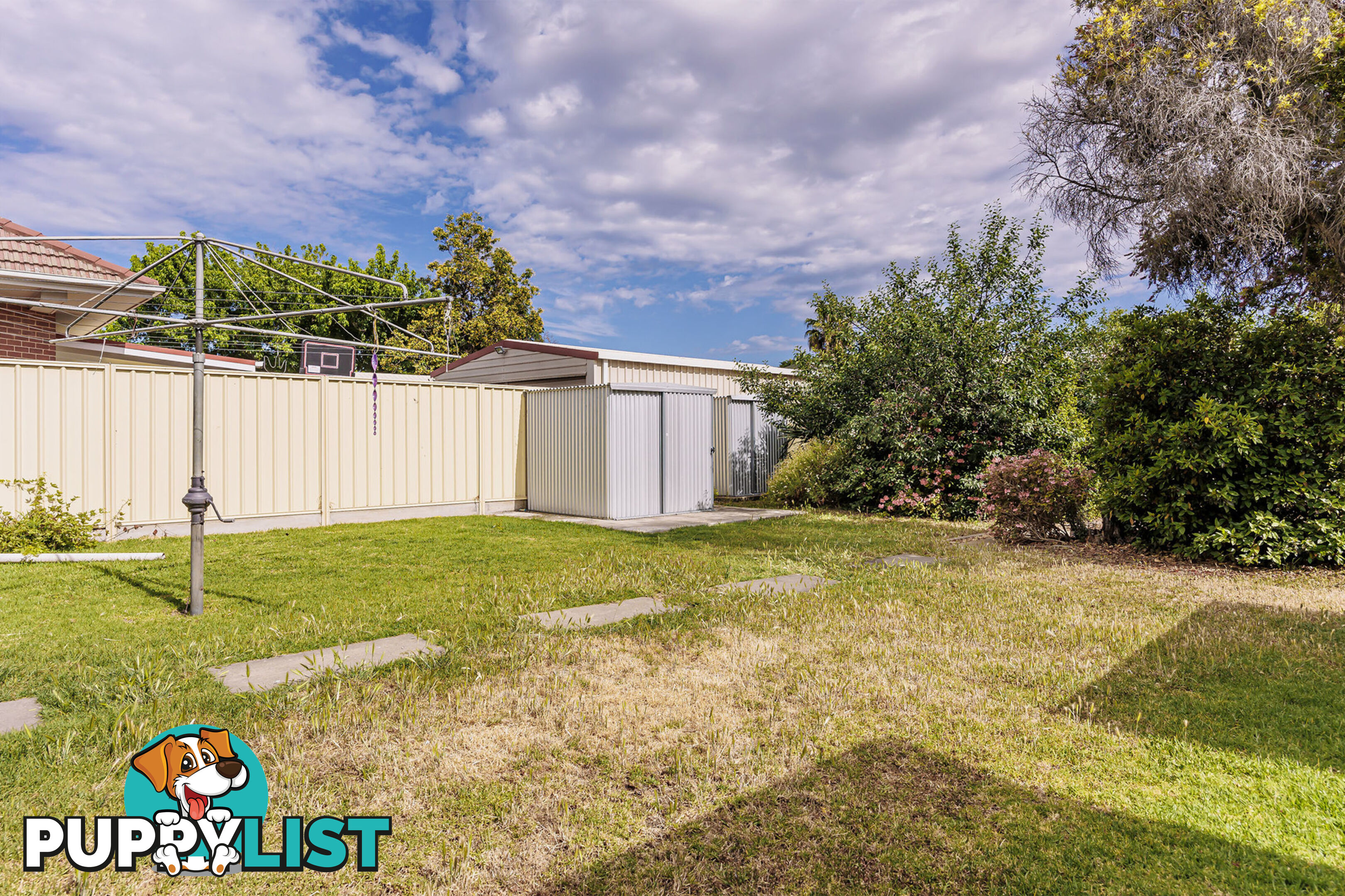 56 Victoria Street PROSPECT SA 5082