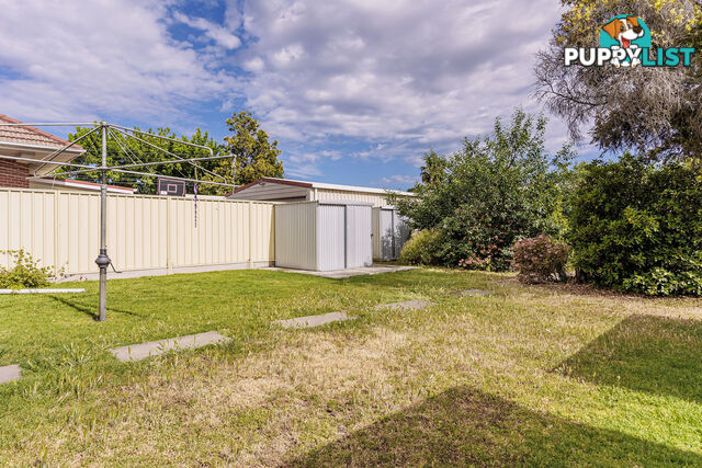 56 Victoria Street PROSPECT SA 5082