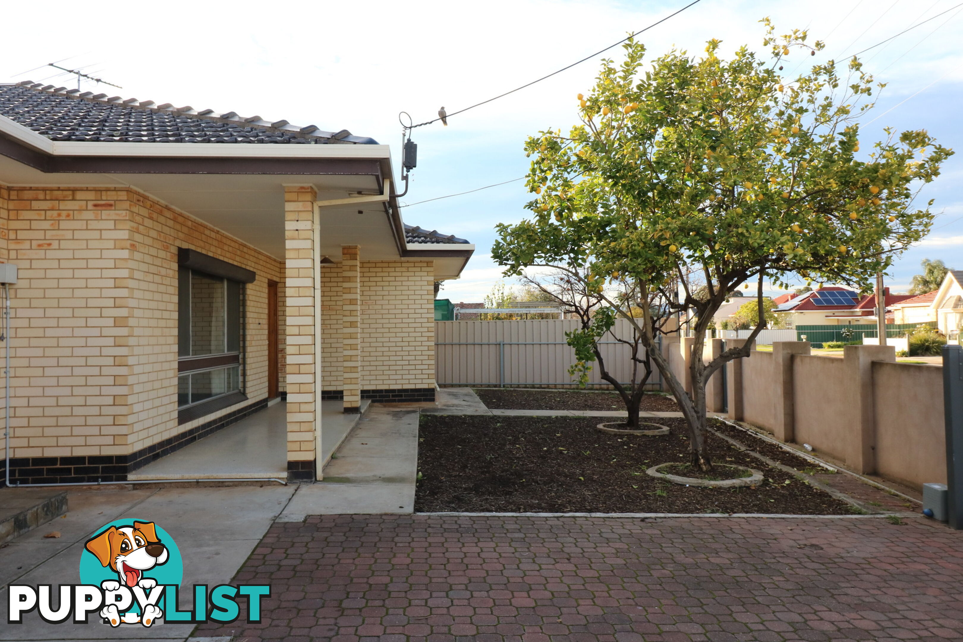 50 Glen Eira Street WOODVILLE SOUTH SA 5011