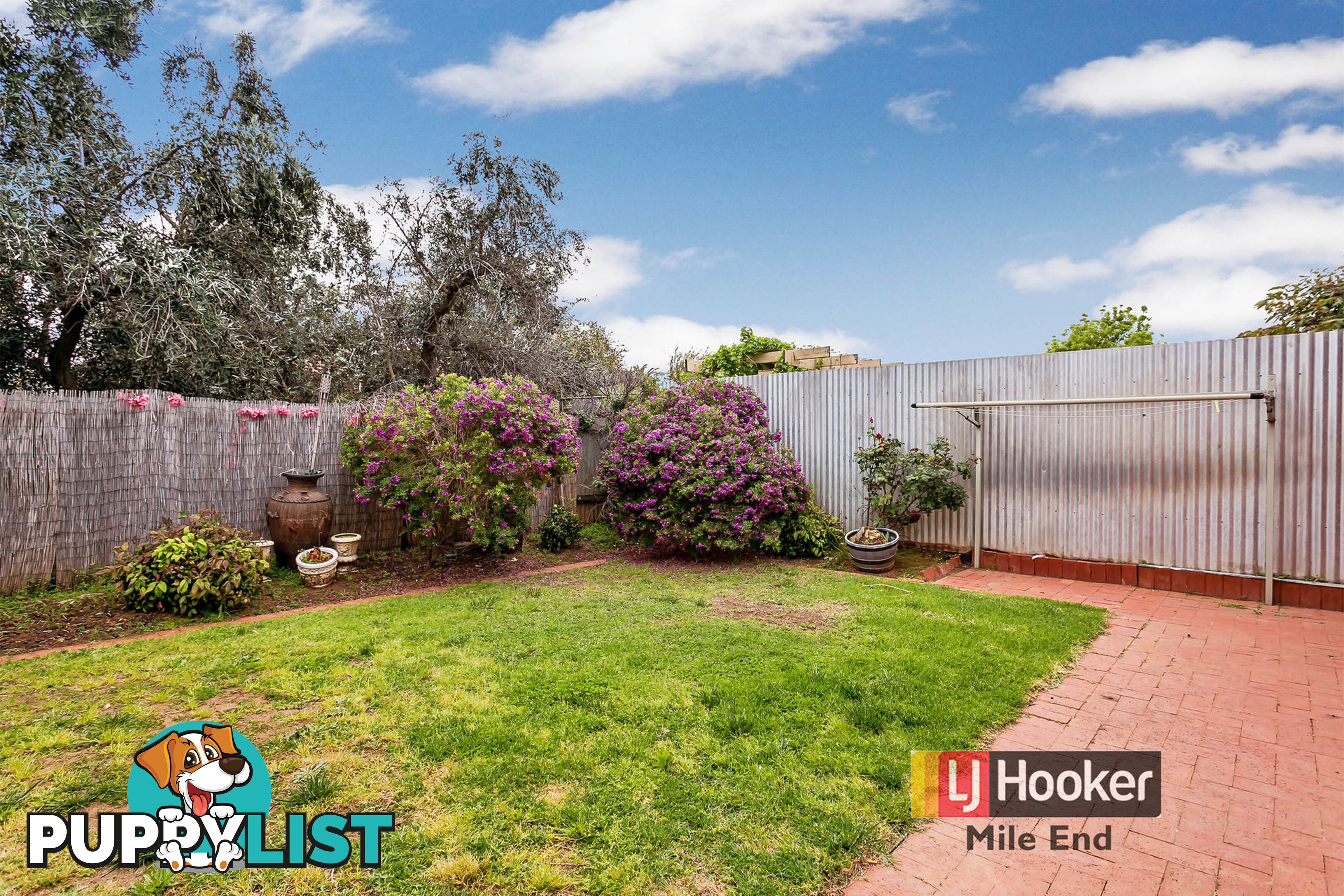 35 Torrens Street TORRENSVILLE SA 5031