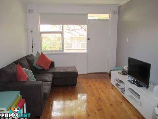 12/19 Osmond Terrace FULLARTON SA 5063