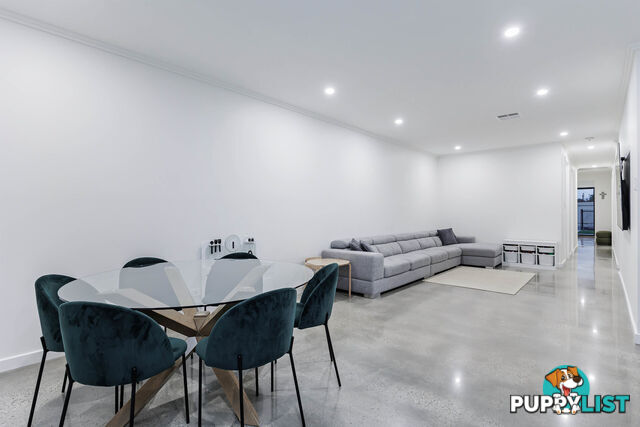 13 Passmore Street WEST RICHMOND SA 5033