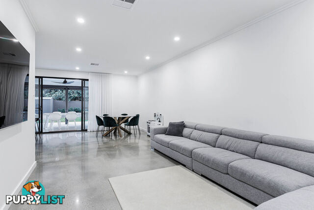 13 Passmore Street WEST RICHMOND SA 5033