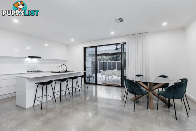 13 Passmore Street WEST RICHMOND SA 5033
