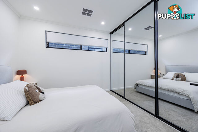 13 Passmore Street WEST RICHMOND SA 5033