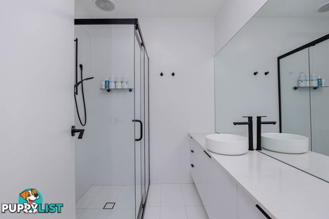 13 Passmore Street WEST RICHMOND SA 5033