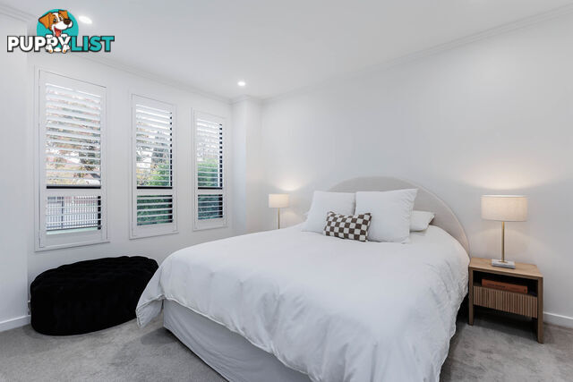 13 Passmore Street WEST RICHMOND SA 5033