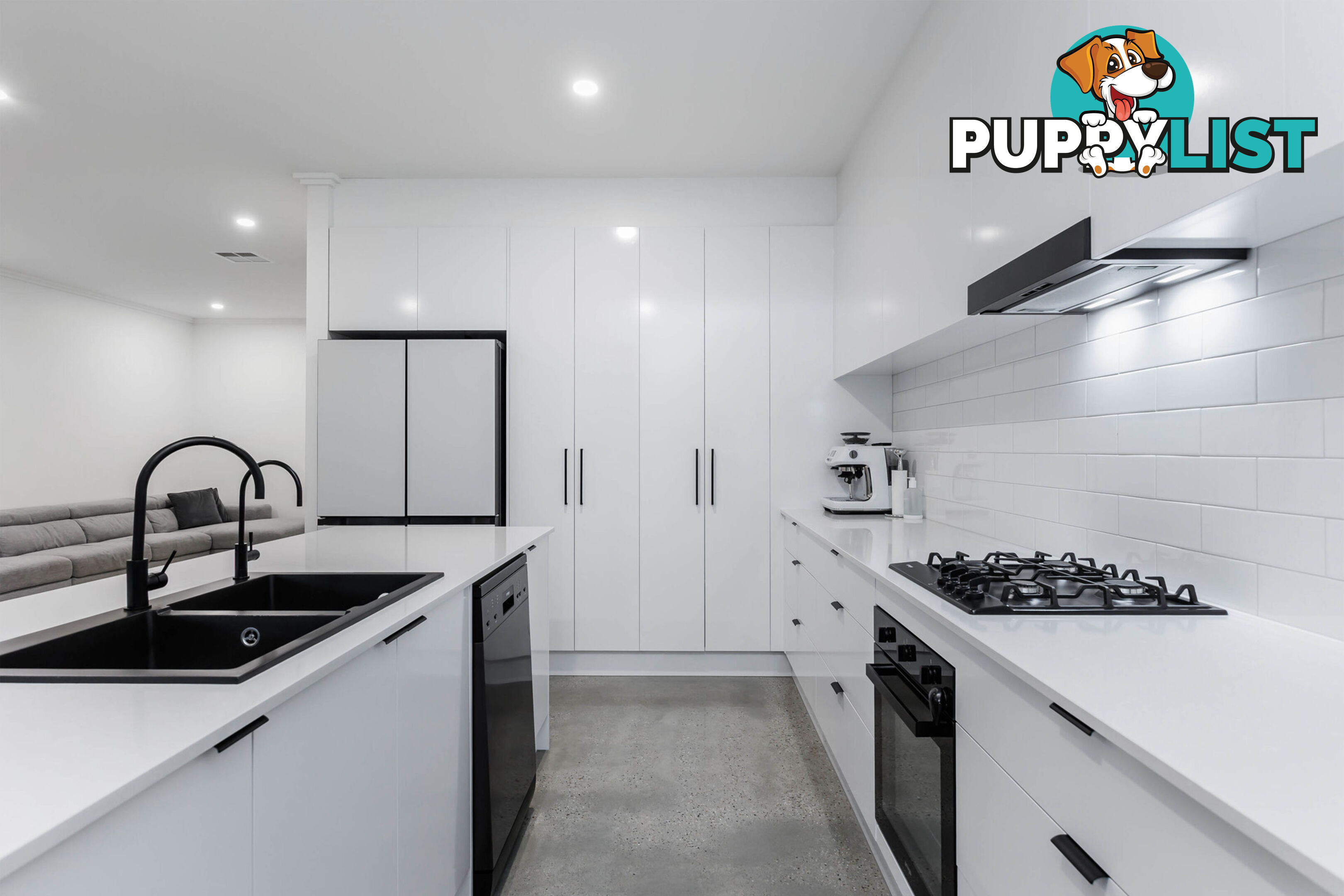 13 Passmore Street WEST RICHMOND SA 5033