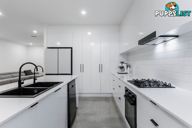 13 Passmore Street WEST RICHMOND SA 5033