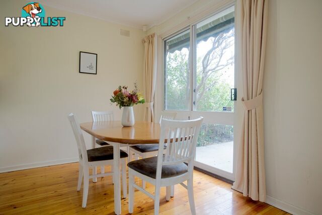 37 Salisbury Avenue VALLEY VIEW SA 5093