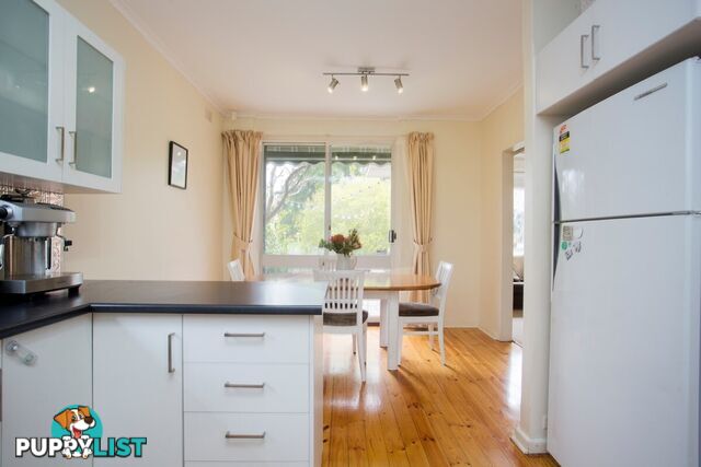 37 Salisbury Avenue VALLEY VIEW SA 5093
