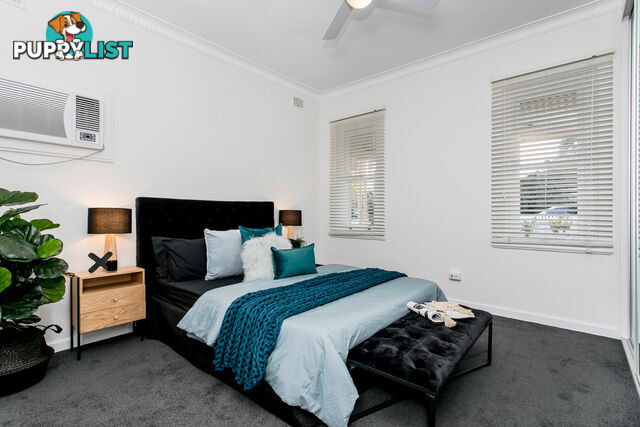 63 Murray Street ALBERT PARK SA 5014