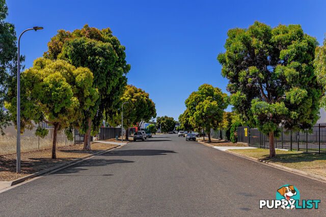 5 Playford Crescent SALISBURY NORTH SA 5108