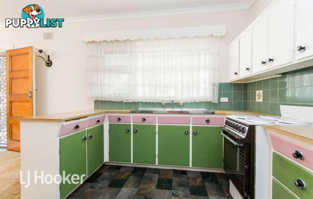 19a Cranbrook Avenue UNDERDALE SA 5032
