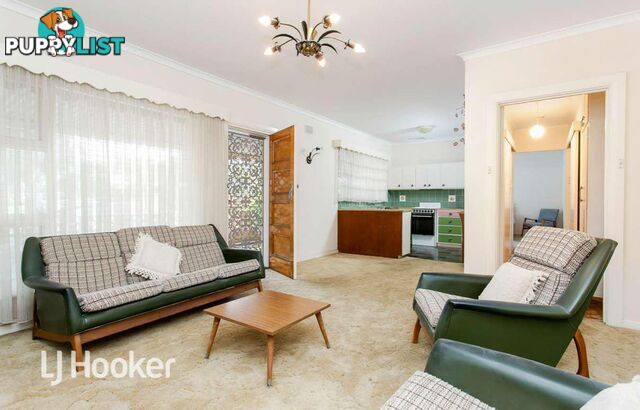 19a Cranbrook Avenue UNDERDALE SA 5032