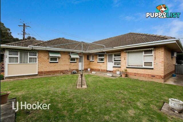 19a Cranbrook Avenue UNDERDALE SA 5032