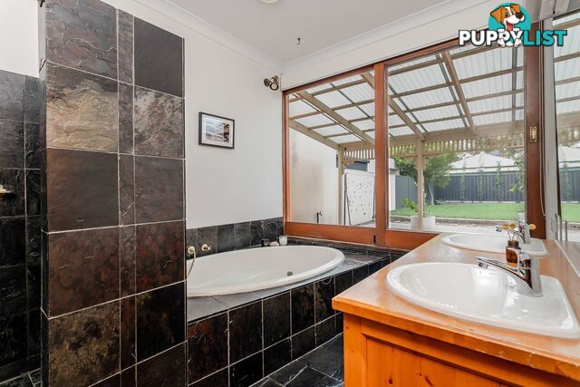 26 Norma Street MILE END SA 5031