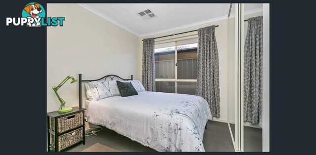 41C Cookes Road WINDSOR GARDENS SA 5087