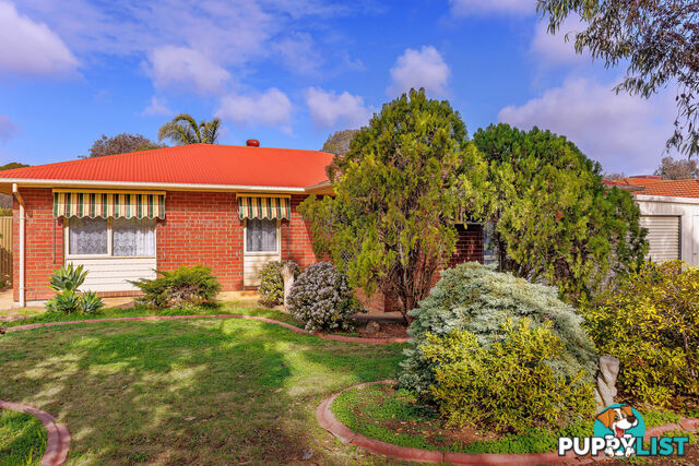 1 Fern Court PARAFIELD GARDENS SA 5107