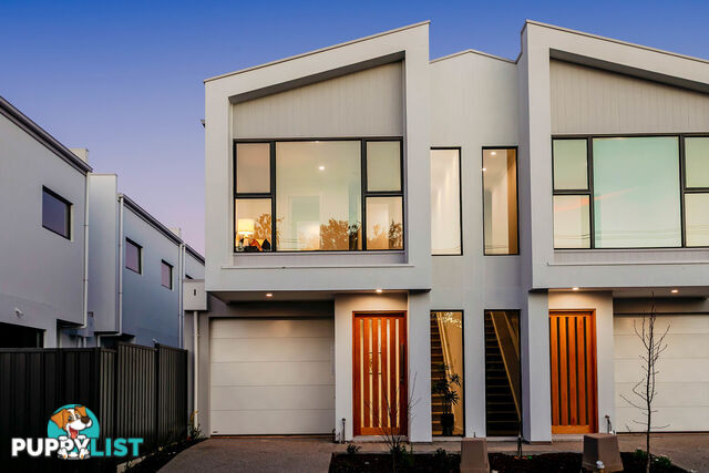 8/2 Rawlings Avenue TORRENSVILLE SA 5031