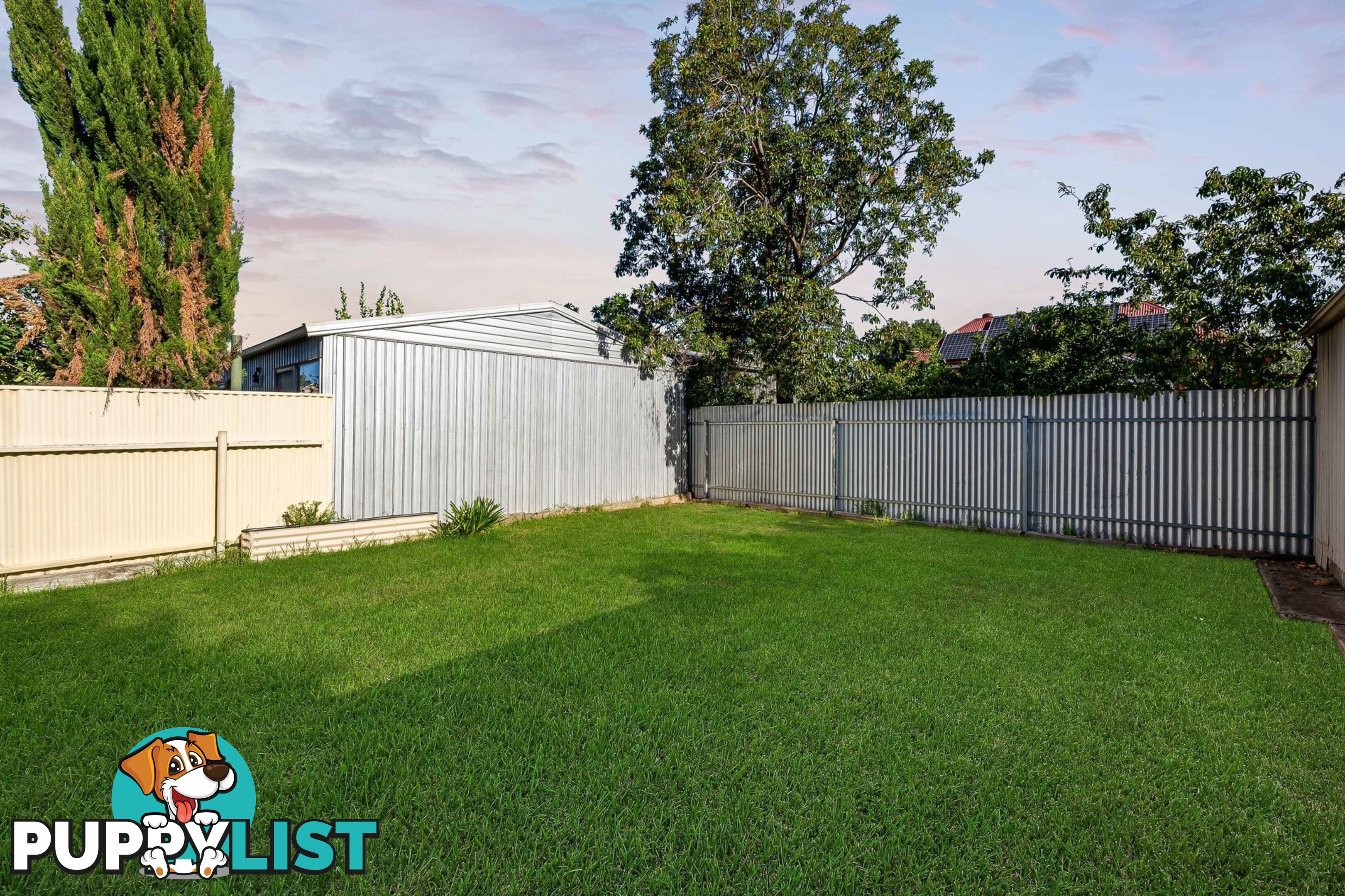 13 Lurline Street MILE END SA 5031