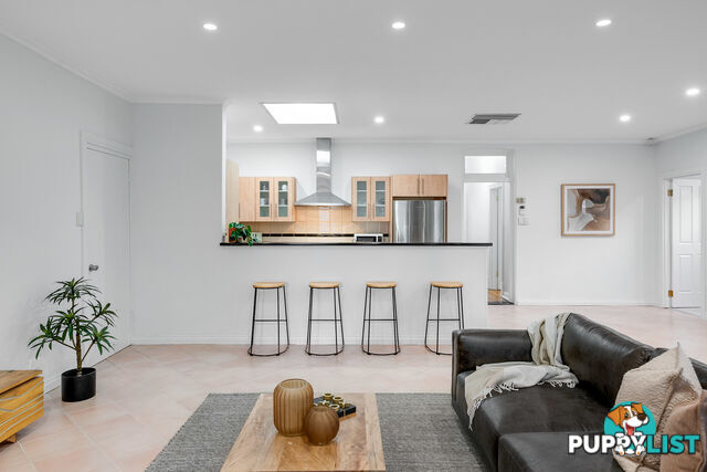 13 Lurline Street MILE END SA 5031