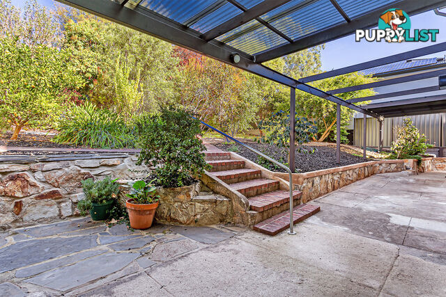 6 Wilaroo Avenue BEAUMONT SA 5066