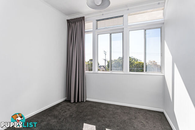 6 Wilaroo Avenue BEAUMONT SA 5066