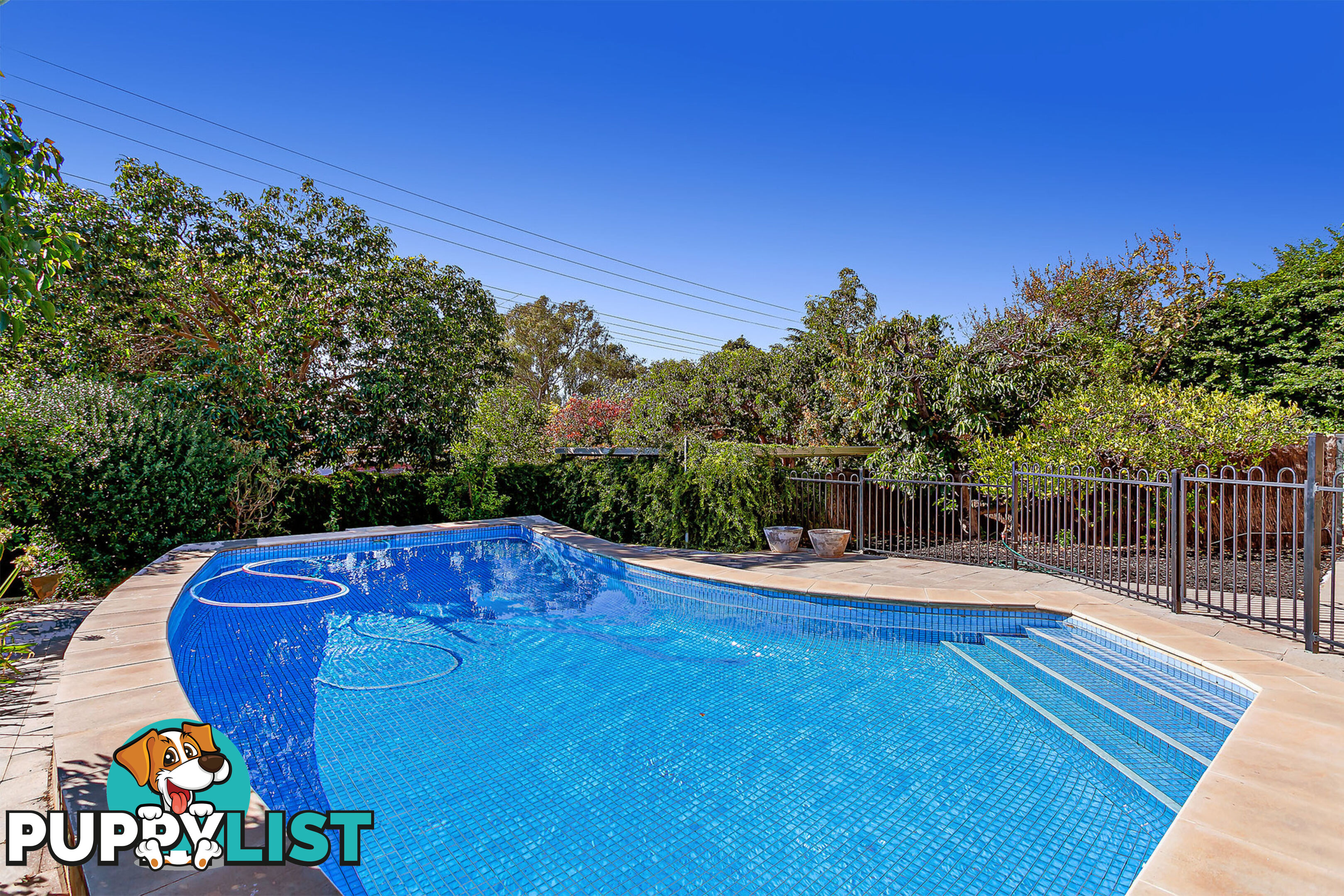 6 Wilaroo Avenue BEAUMONT SA 5066