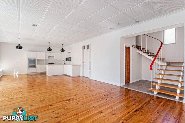 6 Wilaroo Avenue BEAUMONT SA 5066