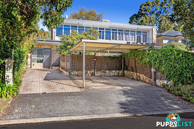 6 Wilaroo Avenue BEAUMONT SA 5066