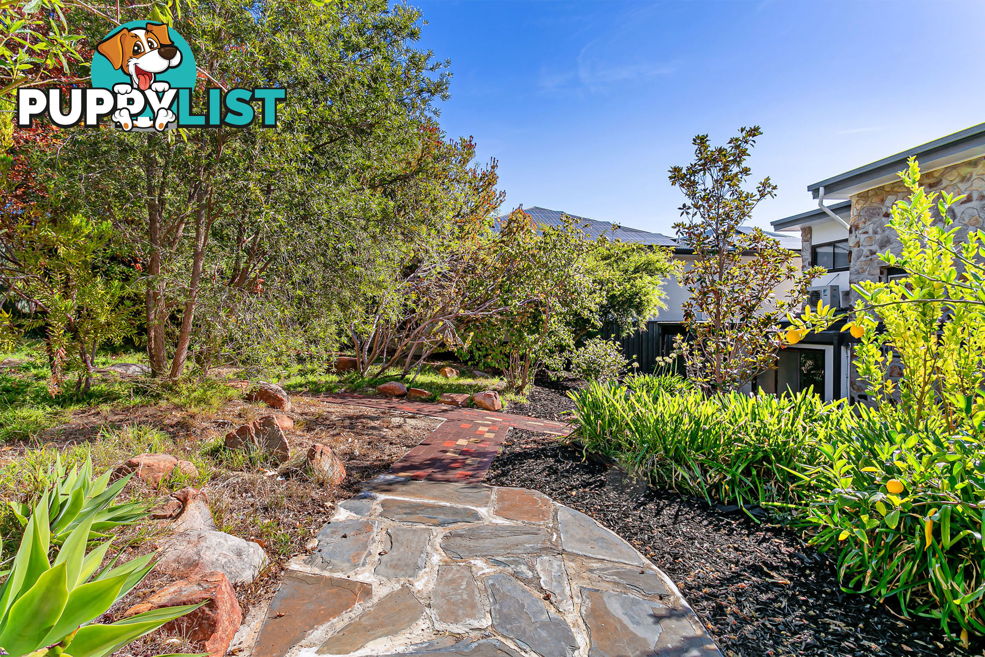 6 Wilaroo Avenue BEAUMONT SA 5066