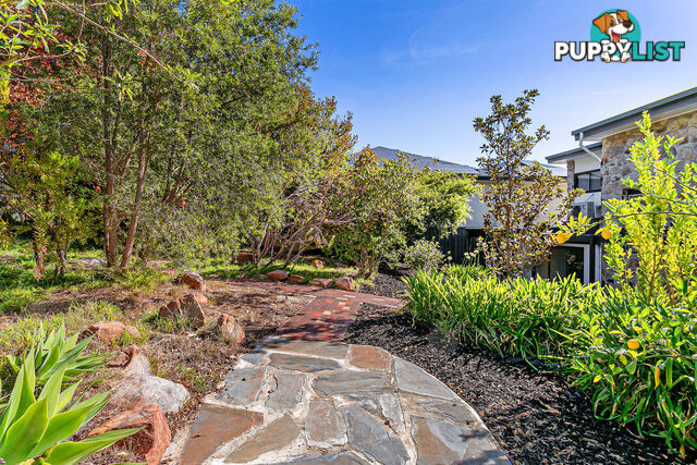 6 Wilaroo Avenue BEAUMONT SA 5066