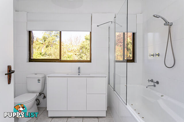 6 Wilaroo Avenue BEAUMONT SA 5066