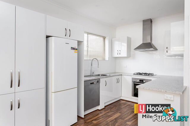 38A Tarragon Street MILE END SA 5031