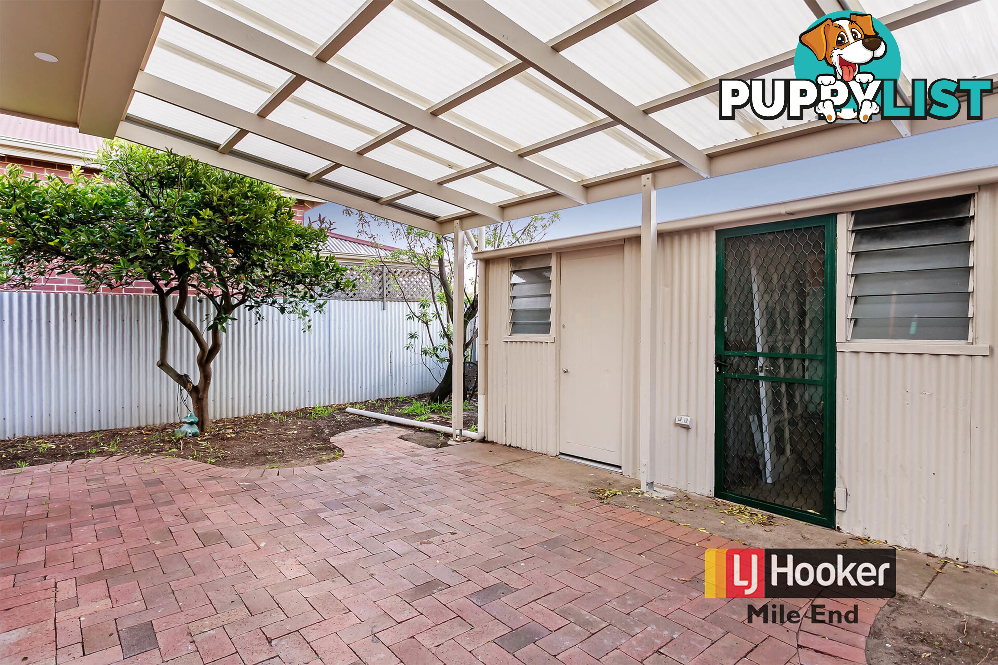 38A Tarragon Street MILE END SA 5031