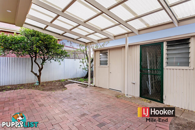 38A Tarragon Street MILE END SA 5031