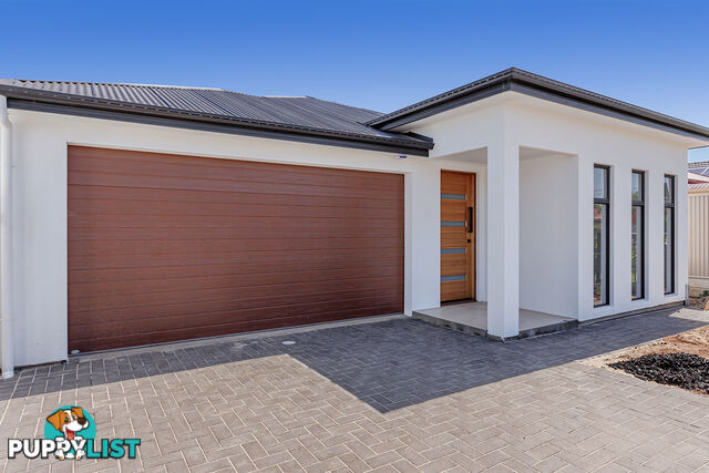 85 Park Avenue ATHOL PARK SA 5012