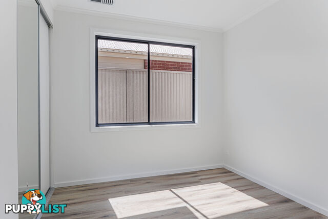 85 Park Avenue ATHOL PARK SA 5012