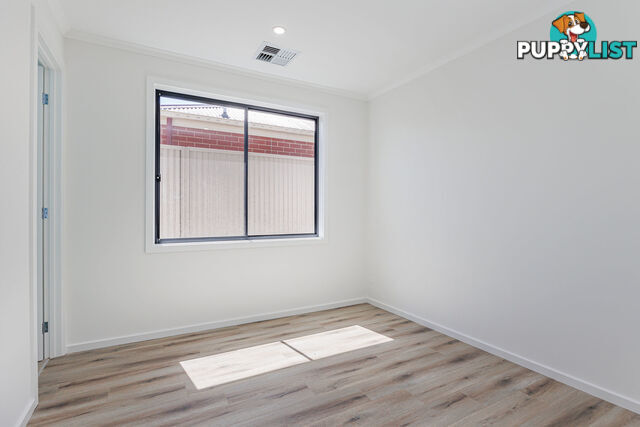 85 Park Avenue ATHOL PARK SA 5012