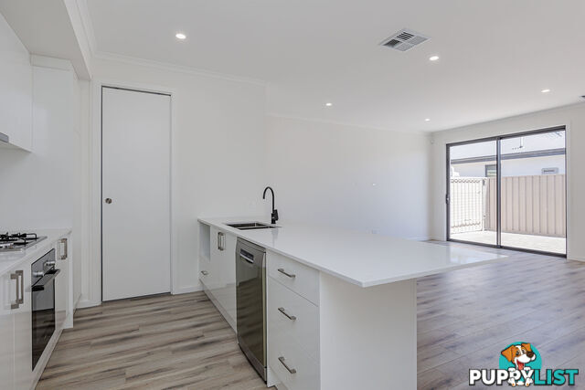 85 Park Avenue ATHOL PARK SA 5012